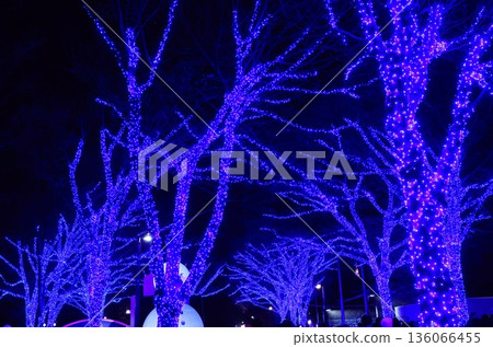Blue illuminations at the Blue Cave in Shibuya, Tokyo 136066455