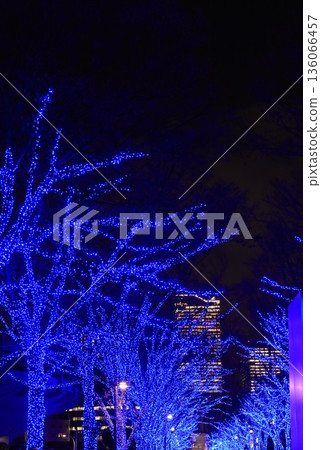 東京澀谷藍洞的藍色燈光 東京澀谷藍洞的藍色燈光 136066457