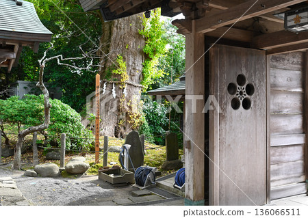View of Egara Tenjin Shrine in Kamakura View of Egara Tenjin Shrine in Kamakura 136066511