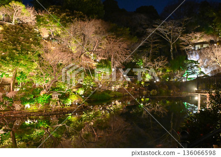 椿山莊的夜景 椿山莊的夜景 136066598