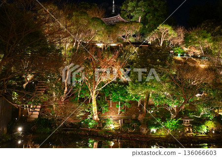 椿山莊的夜景 136066603
