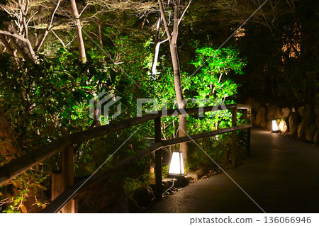 Night view of Chinzanso Night view of Chinzanso 136066946