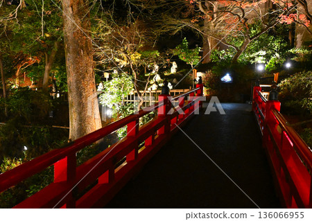 椿山莊的夜景 136066955