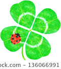 四葉草與瓢蟲-時尚水彩插圖 四葉草與瓢蟲-時尚水彩插圖 136066991