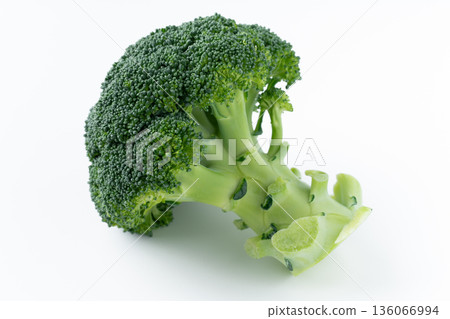 A single broccoli on a white background A single broccoli on a white background 136066994