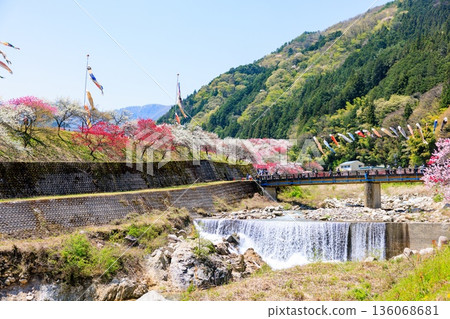 A view of Hirugami Onsen in Achi Village. Vividly colored peach blossoms A view of Hirugami Onsen in Achi Village. Vividly colored peach blossoms 136068681