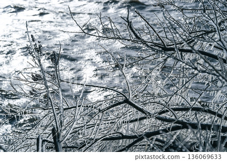 Spray ice on the branches and the sparkling lake surface a-2 Cool color Spray ice on the branches and the sparkling lake surface a-2 Cool color 136069633