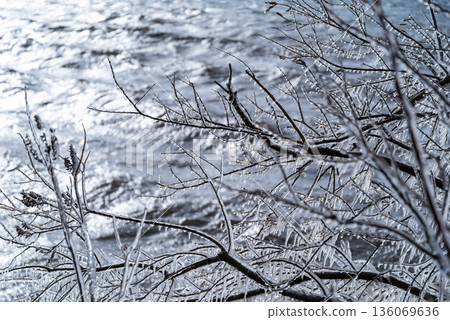樹枝上噴灑冰霧,湖面波光粼粼 b-1 樹枝上噴灑冰霧,湖面波光粼粼 b-1 136069636