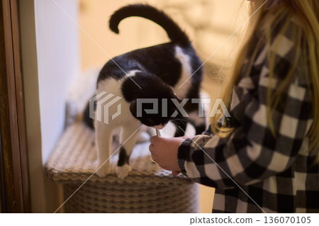 Black and white cat being handfed by caregiver in checkered shirt warm indoor lighting intimate home scene volunteer offering treat focused sniffing whiskers 136070105