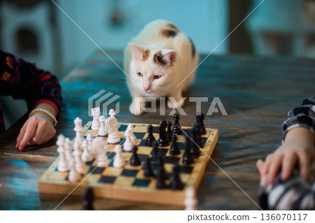 Playful feline pauses ongoing game. Mischievous cat causes disturbance during match. An active and mischievous cat interrupts and disturbs entire gaming session unexpectedly 136070117