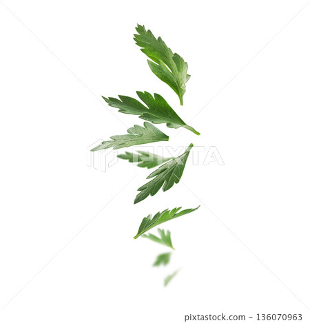Green parsley leaves levitate on a white background 136070963