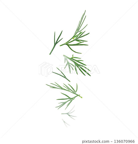 Green sprigs of dill levitate on a white background Green sprigs of dill levitate on a white background 136070966