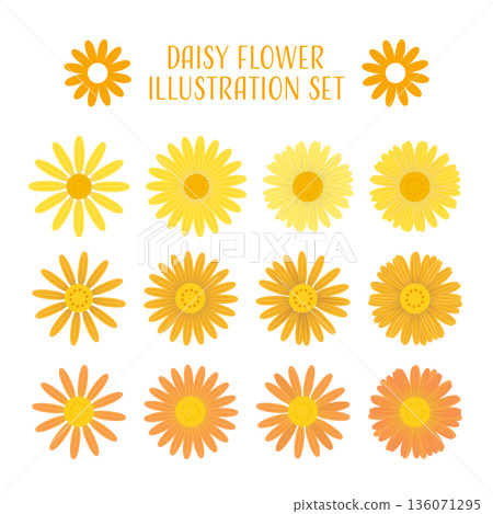 黃色雛菊矢量圖集。 136071295