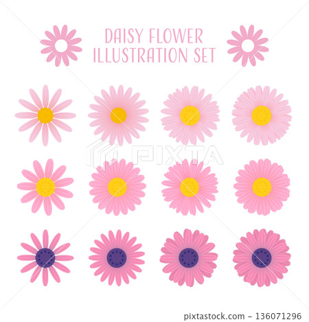 粉紅色雛菊矢量插圖集。 136071296