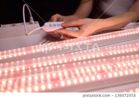 Hands finetuning hydroponic system, Adjusting grow lights for indoor plant growth, Technician meticulously configuring lighting and controls for indoor plant cultivation system Hands finetuning hydroponic system, Adjusting grow lights for indoor plant growth, Technician meticulously configuring lighting and controls for indoor plant cultivation system 136072058