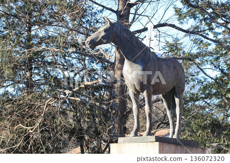 Horse statue of Kamioka Bato Kannon in Higashimatsuyama City, Saitama Prefecture 136072320