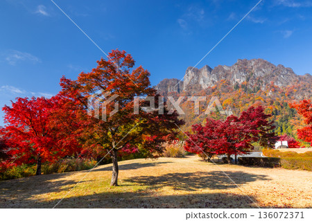 Mt. Myogi, one of Japan's three most beautiful places, with maple trees in the plaza at Mt. Myogi Panorama Park in Tomioka City, Gunma Prefecture. Mt. Myogi, one of Japan's three most beautiful places, with maple trees in the plaza at Mt. Myogi Panorama Park in Tomioka City, Gunma Prefecture. 136072371