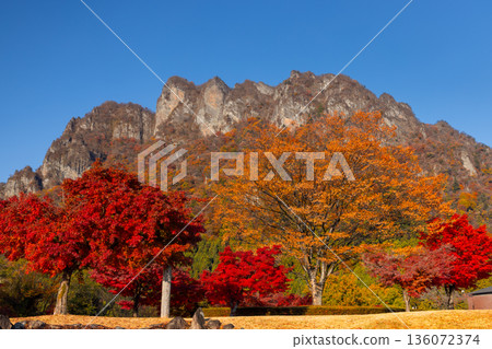 Mt. Myogi, one of Japan's three most beautiful places, with maple trees in the plaza at Mt. Myogi Panorama Park in Tomioka City, Gunma Prefecture. Mt. Myogi, one of Japan's three most beautiful places, with maple trees in the plaza at Mt. Myogi Panorama Park in Tomioka City, Gunma Prefecture. 136072374