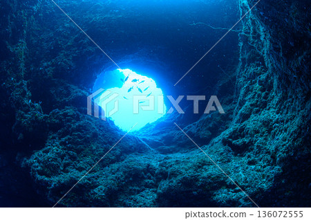 帛琉，蔚藍的海與水下洞穴，潛水場景 136072555