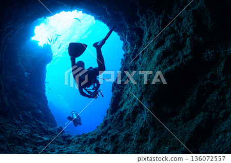 帛琉，蔚藍的海與水下洞穴，潛水場景 136072557