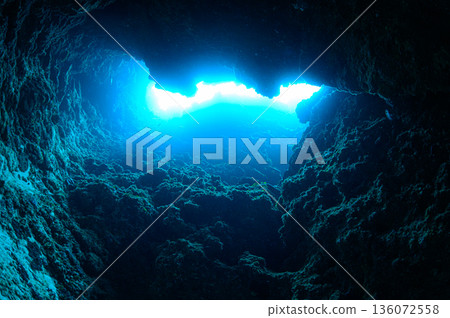 帛琉,蔚藍的海與水下洞穴,潛水場景 帛琉,蔚藍的海與水下洞穴,潛水場景 136072558