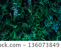 Herb wall, plant wall, natural green wallpaper and background.  136073849