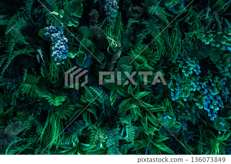 Herb wall, plant wall, natural green wallpaper and background.  136073849