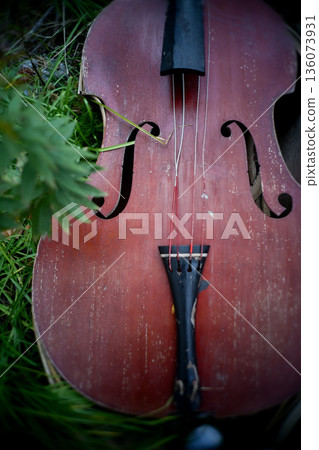 Broken stringed instrument in a ruined place 136073931