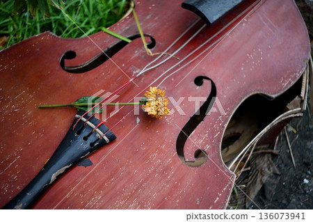 廢墟中破損的弦樂器 136073941