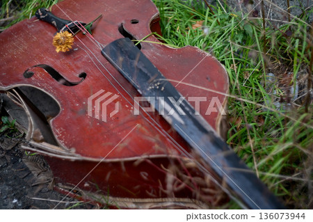 Broken stringed instrument in a ruined place Broken stringed instrument in a ruined place 136073944
