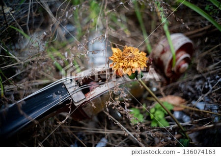 Broken string instruments and withered flowers in a ruined place Broken string instruments and withered flowers in a ruined place 136074163