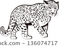 Monochrome Leopard 136074717