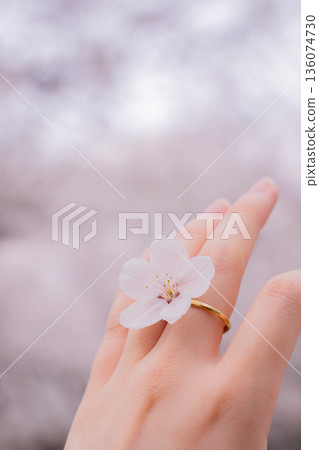 女人的手戴著一枚繡有櫻花圖案的金戒指 136074730