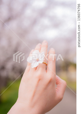 女人的手戴著一枚繡有櫻花圖案的金戒指 136074766