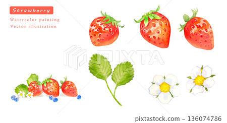 Watercolor strawberry vector illustration set 136074786