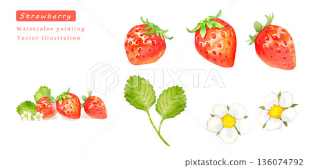 水彩草莓向量插圖集 136074792