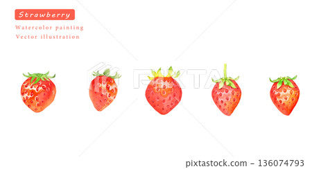 水彩草莓向量插圖集 136074793