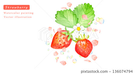 水彩草莓向量插圖背景素材 水彩草莓向量插圖背景素材 136074794