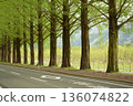 Fresh green Metasequoia tree-lined street 136074822