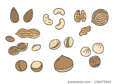 Hand-drawn illustration set of various nuts 136075043