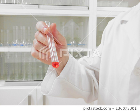 Chemist Inspecting Glass Test Tube With Red Liquid, CloseUp HandHeld Sample Review At Laboratory Bench, 136075301