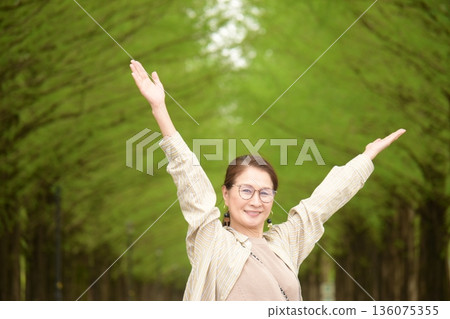 Fresh green Metasequoia tree-lined street 136075355