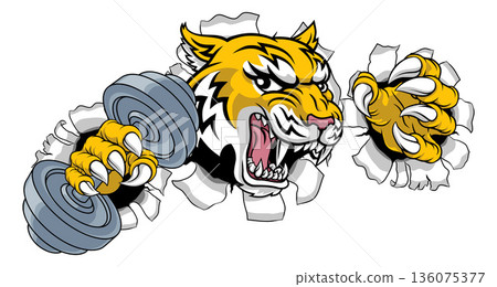 Wildcat Bobcat Weight Lifting Dumbbell Mascot Wildcat Bobcat Weight Lifting Dumbbell Mascot 136075377