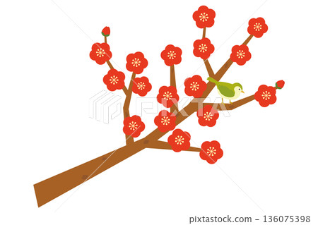 一幅李樹和鶯的插圖 136075398