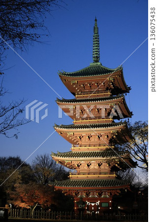 寬永寺五重塔燈火輝煌 136075438