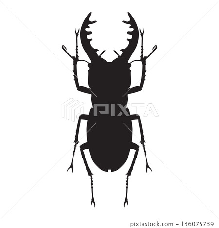 Stag Beetle Silhouette Stag Beetle Silhouette 136075739