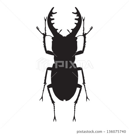 Stag Beetle Silhouette Stag Beetle Silhouette 136075740