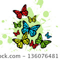 Butterfly. Vector illustration design 136076481