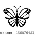 Butterfly. Vector illustration design 136076483
