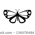 Butterfly. Vector illustration design 136076484